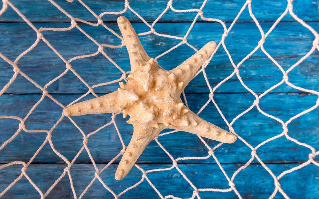 Redes sociales como una red de pesca con estrella de mar