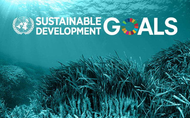 Green Marketing and  Sustainable Development Goals